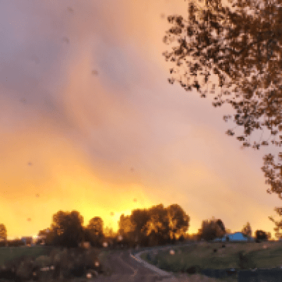 Beautiful capture of the sun painting wispy rain clouds gold.