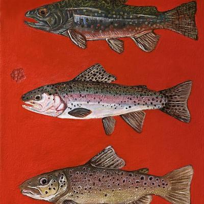 Three trout against red background